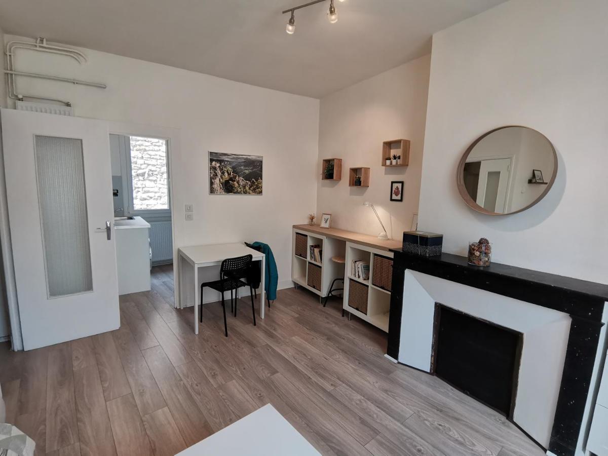 Anemone - Studio Tout Confort En Centre Ville Millau Ngoại thất bức ảnh